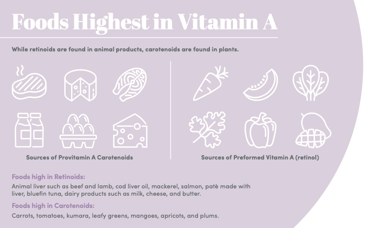 Infographic explaining the foods highest in Vitamin A