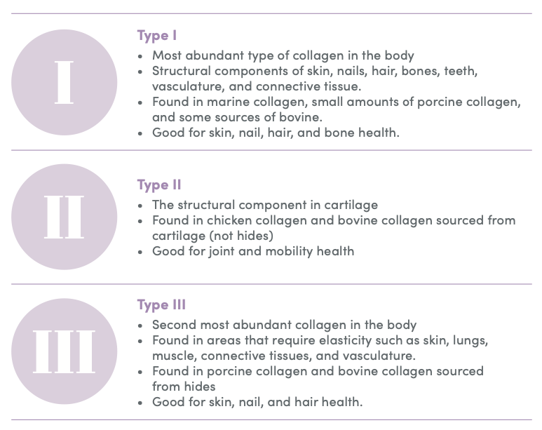 Infographic explaining types of collagen - type I - type III