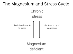 The Magnesium and Stress Cycle